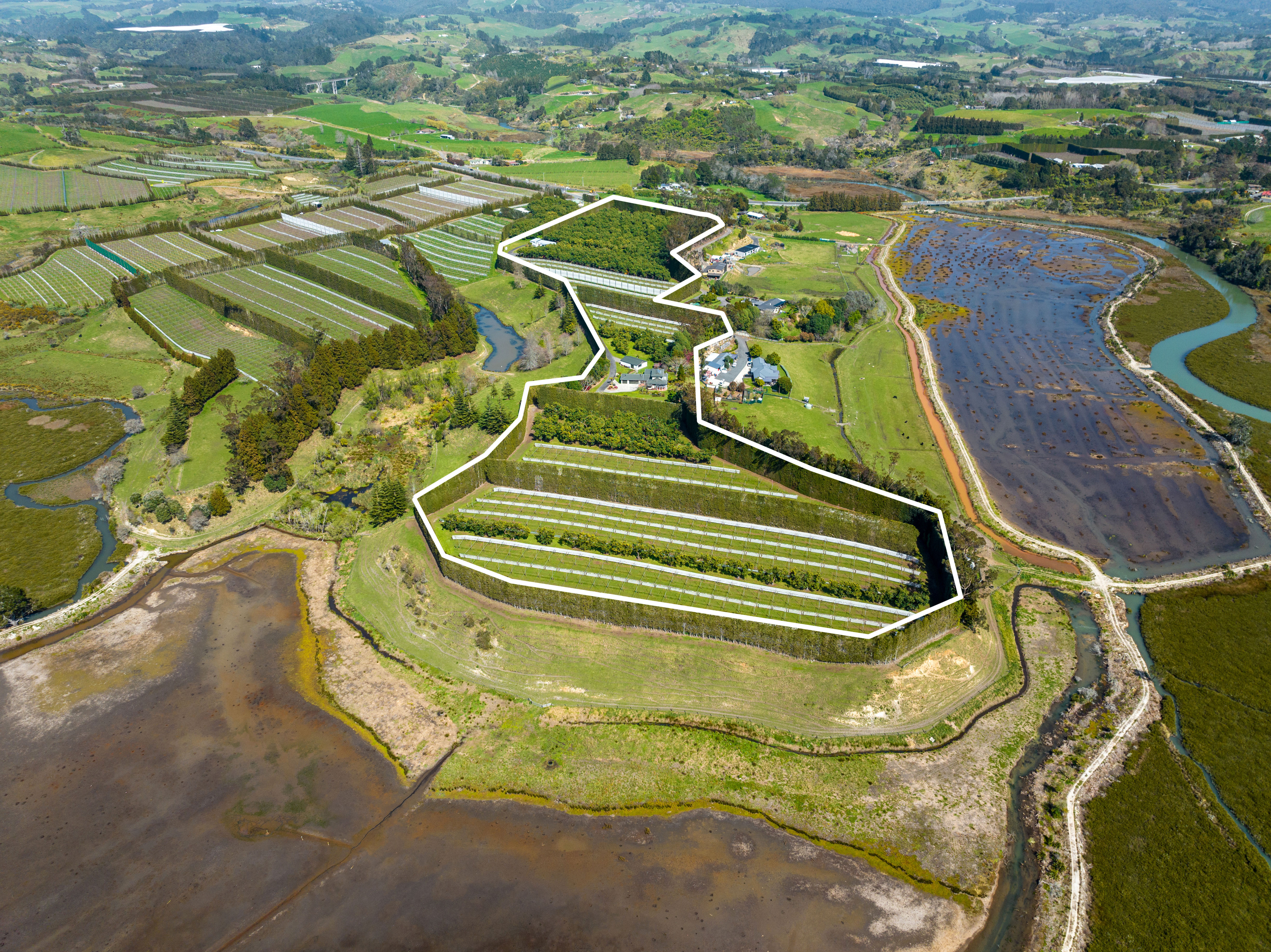 12 Sargent Drive, Whakamarama, Bay Of Plenty, 0 phòng ngủ, 1 phòng tắm, Horticulture