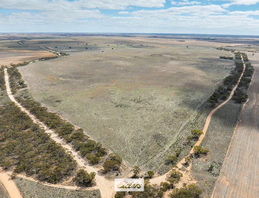 5 Morrison Plain Road, Cowangie, Vic Country , 1部屋, 1バスルーム, Lifestyle Property