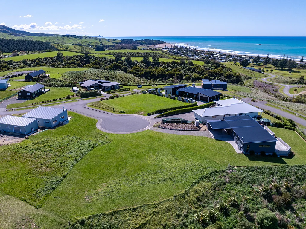 Riversdale Beach Pukeko is the Place