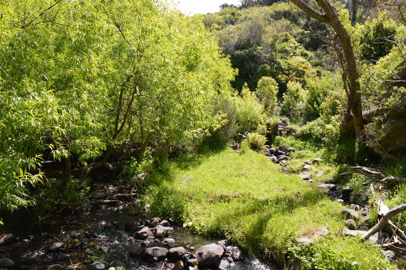 50 Le Bons Valley Road, Le Bons Bay, Christchurch, 0 Bedrooms, 0 Bathrooms