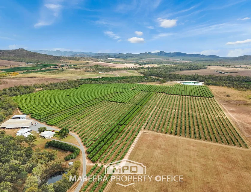 65793 Burke Developmental Road, Dimbulah, Far North, 7 chambres, 5 salles de bain, Lifestyle Property