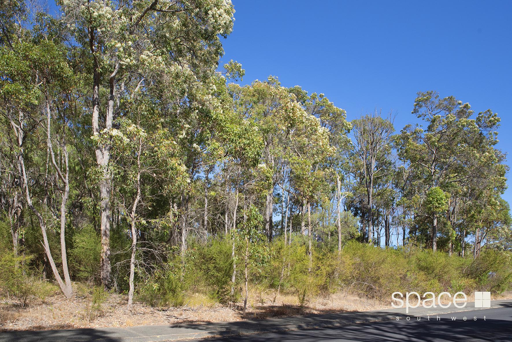 22 RIVERSLEA DR, MARGARET RIVER WA 6285, 0 rūma, 0 rūma horoi, Section