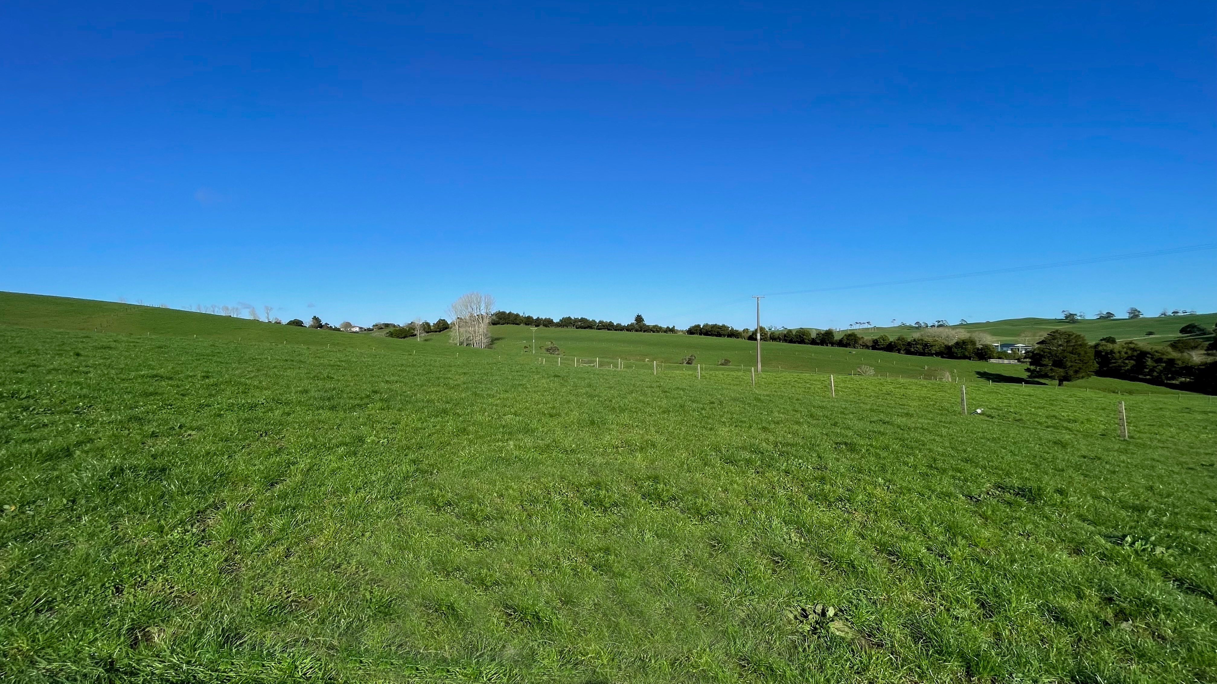 298 Waiteitei Road, Wellsford, Auckland - Rodney, 0 ਕਮਰੇ, 1 ਬਾਥਰੂਮ, Dairy