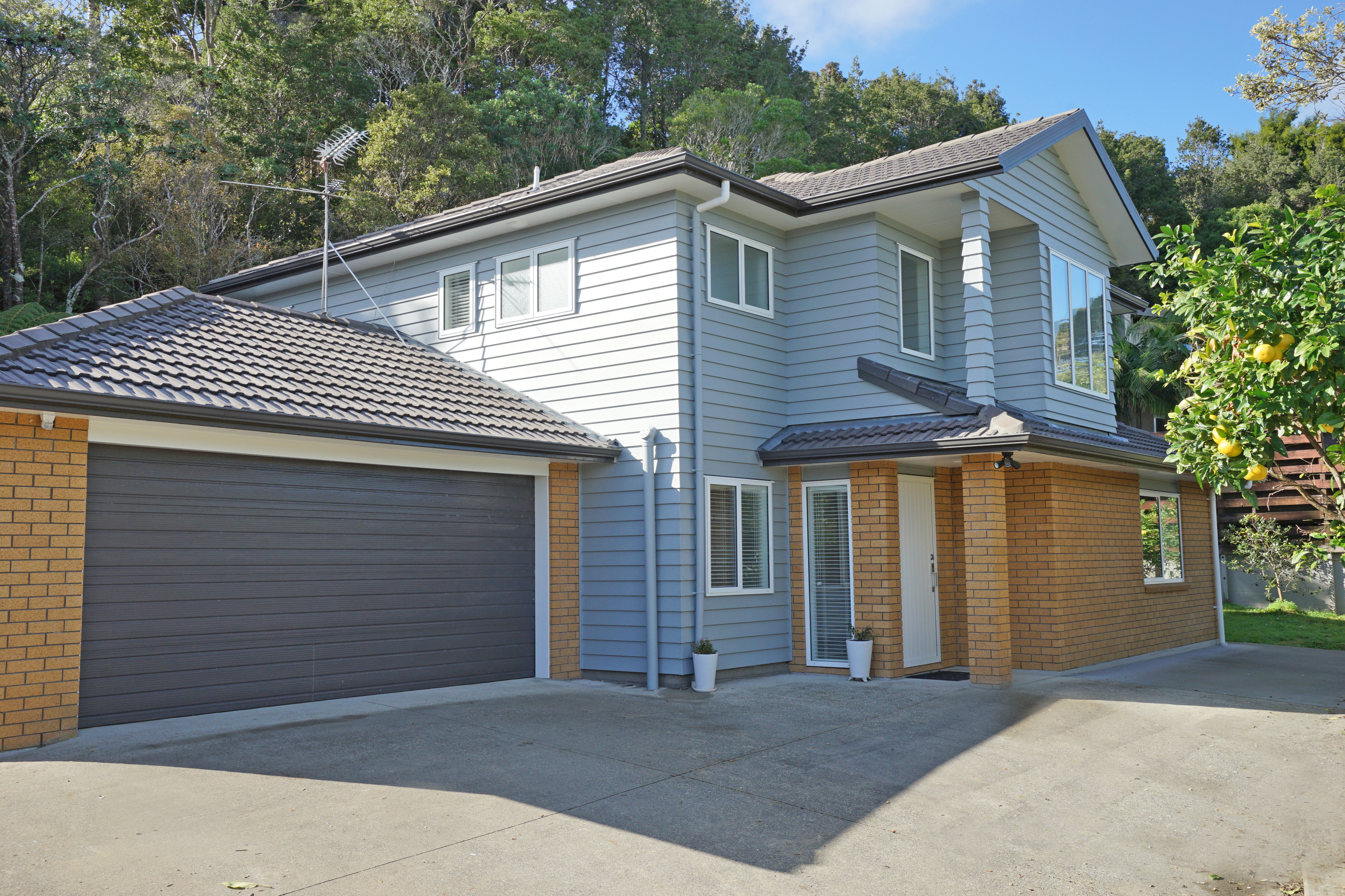 17 Mappin Place, Chatswood, Auckland - North Shore, 3 rūma, 2 rūma horoi