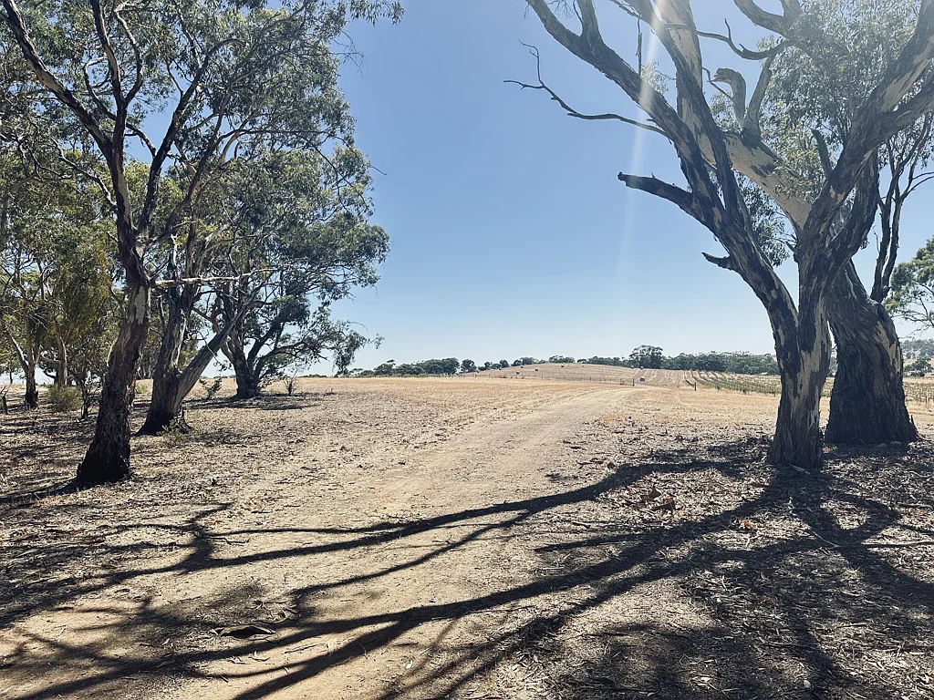 Stanley Flat 71 ACRES* OF A LIFESTYLE BLOCK WITH CAPTIVATING VIEWS