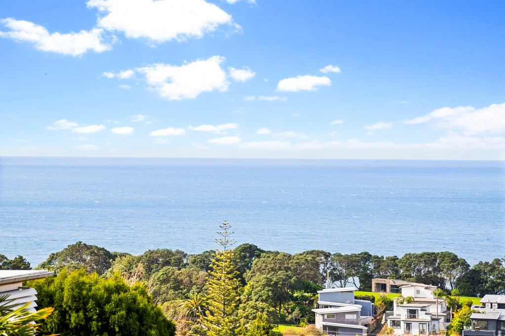 38 Castor Bay Road, Castor Bay, North Shore City, Auckland