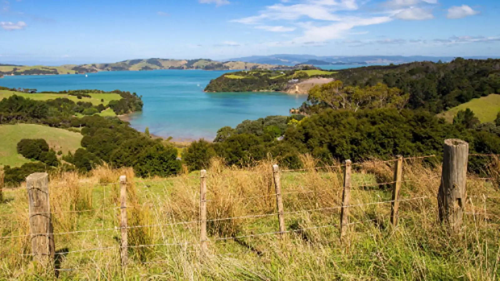 不惜重金只为推翻奥克兰议会错误决定！Waiheke Island社区组织最终赢得乡村土地保护战