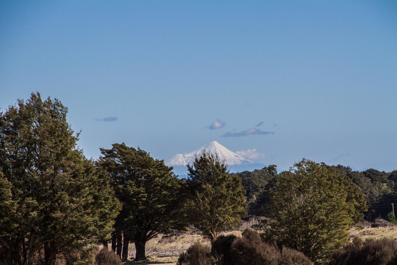 7561 Matapuna Road, Raetihi, Ruapehu, 0 Bedrooms, 0 Bathrooms