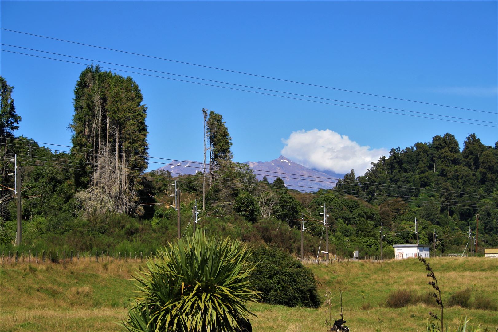 97 Raurimu Road, Owhango, Ruapehu, 2房, 1浴