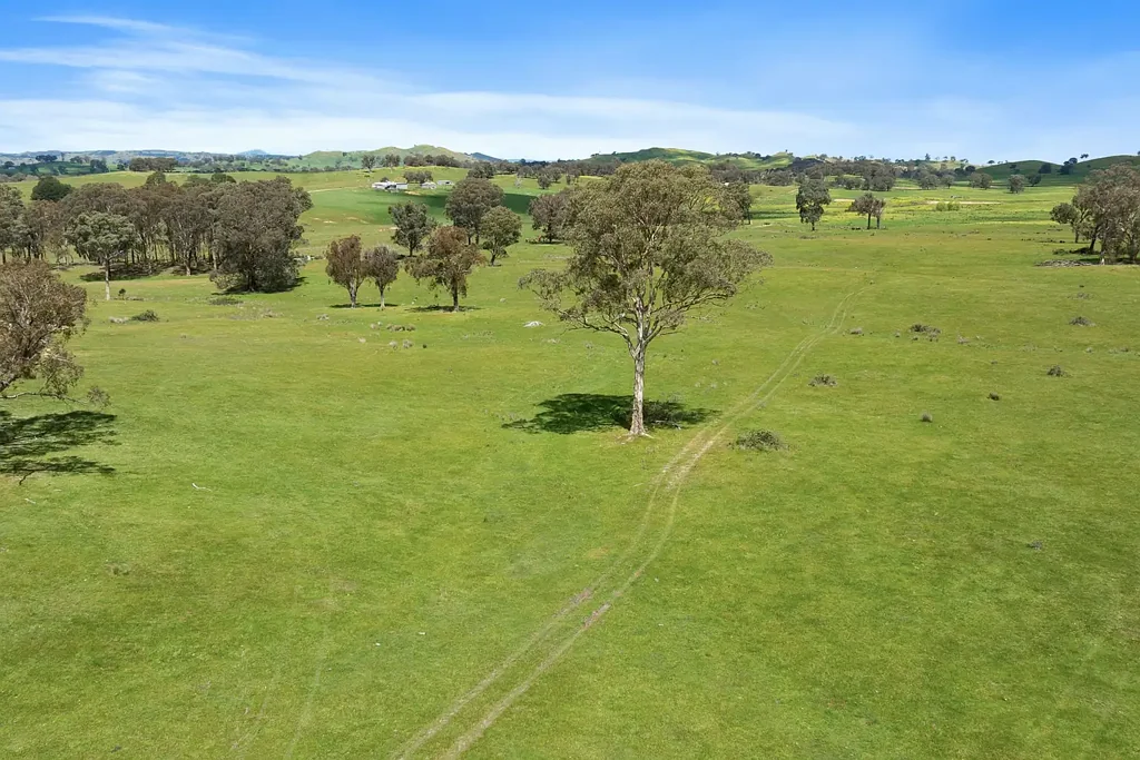 Merton  The Ultimate 80-Acre Lifestyle & Investment Opportunity