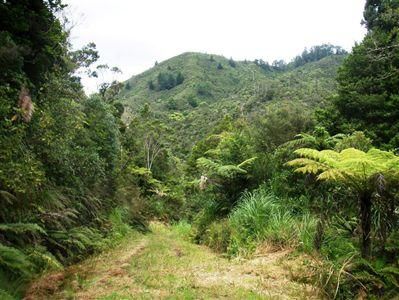 1621 The 309 Road, Kaimarama, Coromandel, 1 Schlafzimmer, 0 Badezimmer