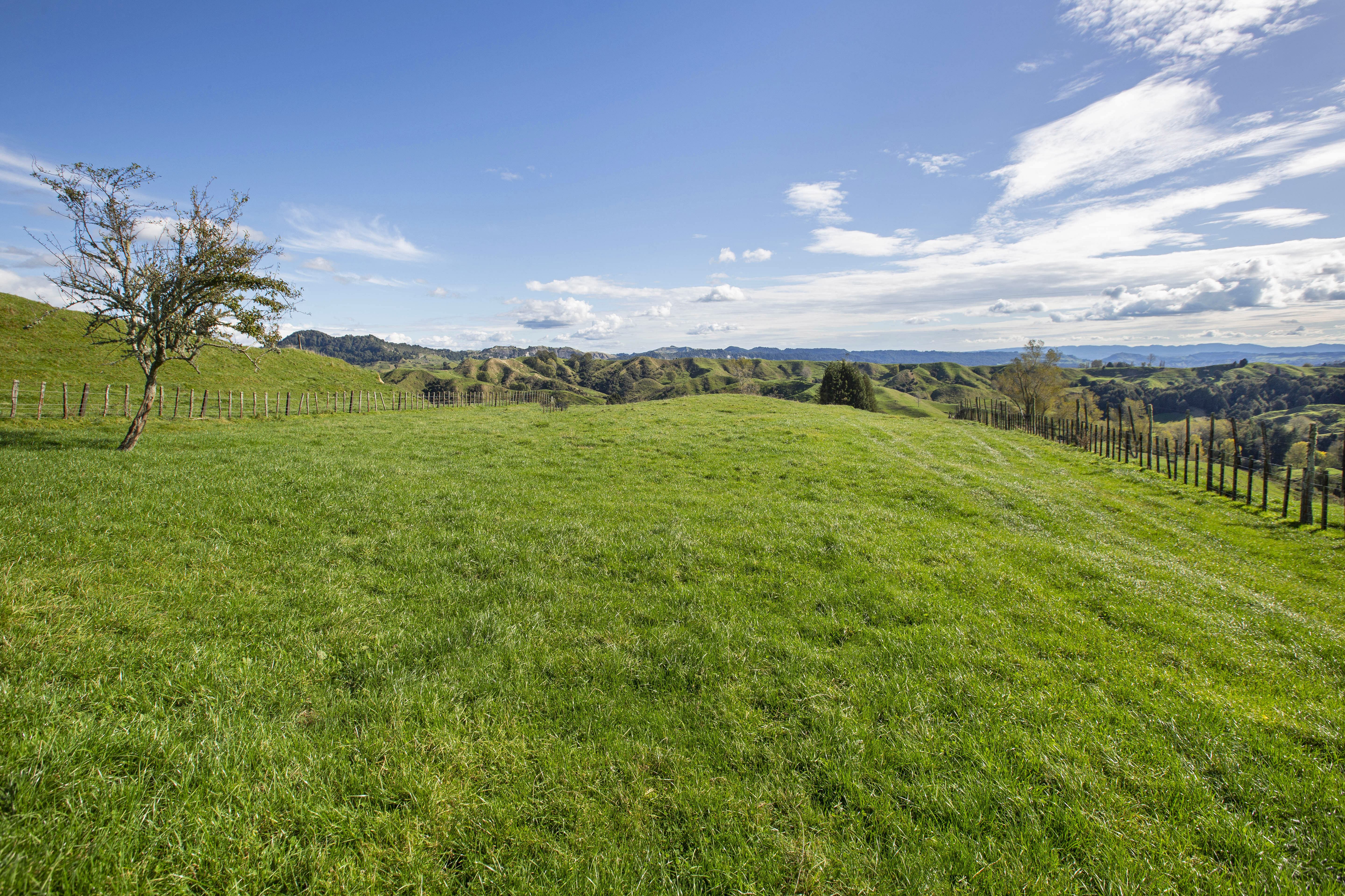 3099 State Highway 4, Aria, Waitomo, 0 phòng ngủ, 0 phòng tắm, Specialist Livestock