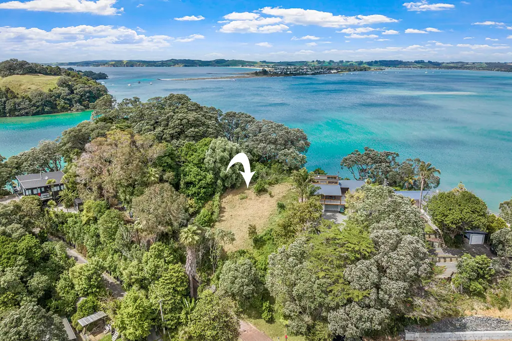 Matakana  A Blank Canvas by the Sea