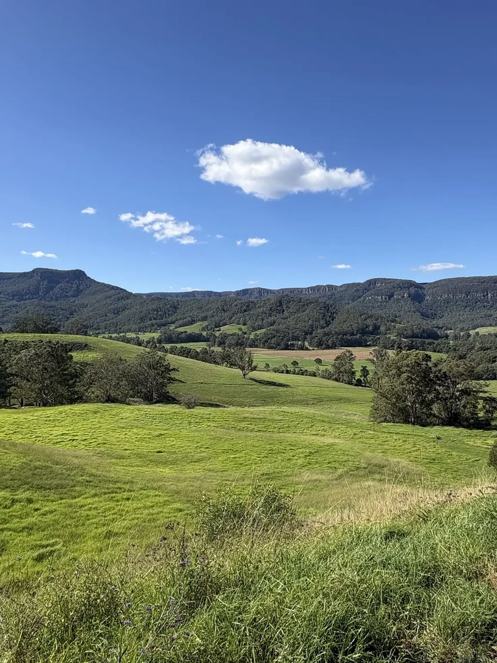 Kangaroo Valley Large Land Holding Kangaroo valley 1.5 Hrs south of Sydney
