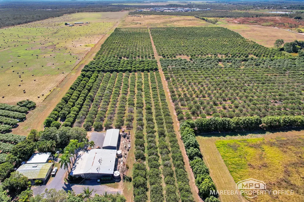 Mareeba LOCATION, LOCATION - LAND BANK FOR THE FUTURE