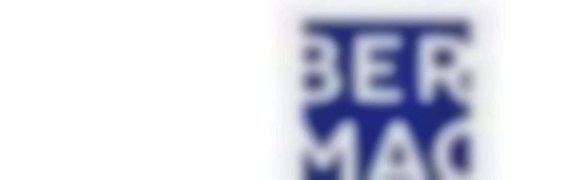 Bermac Property Limited (Licensed REAA:2008)