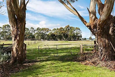  Mills Road, Cobden, VIC 3266, 0 Bedrooms, 0 Bathrooms, Section