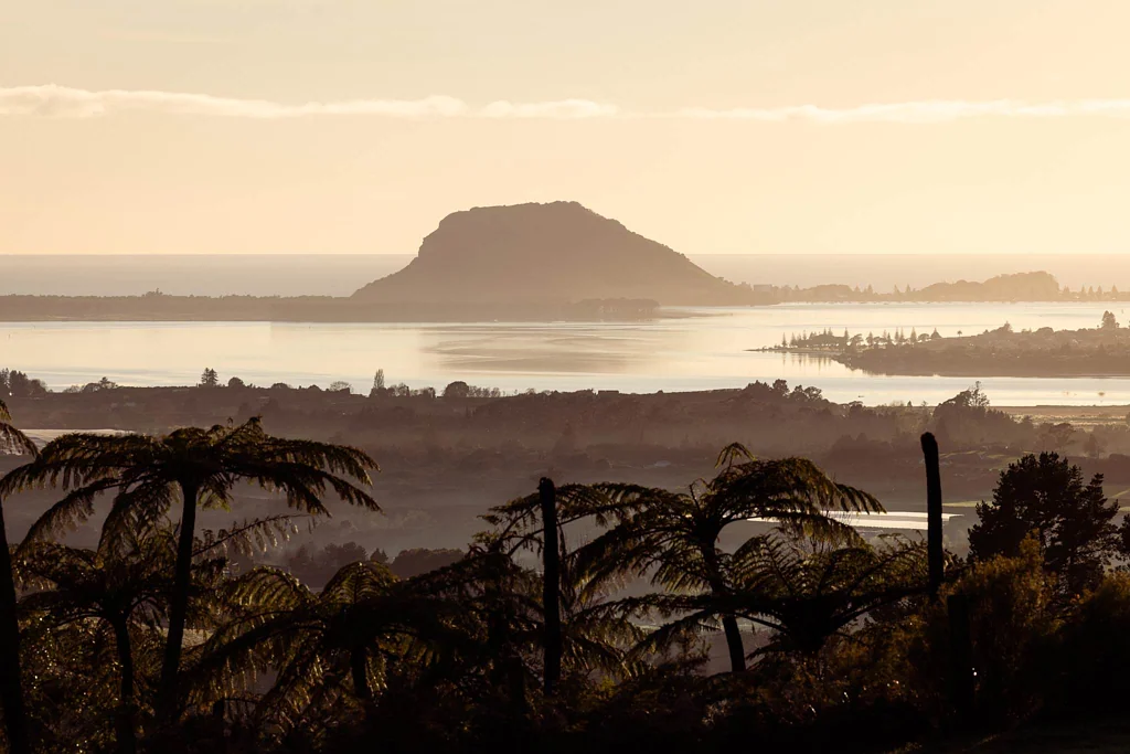 Te Puna Motivation Meets Masterpiece Views