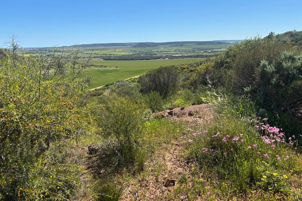 Narra Tarra Strategic, scenic and subdivision opportunity 
"MUMBEMARRA" Farm