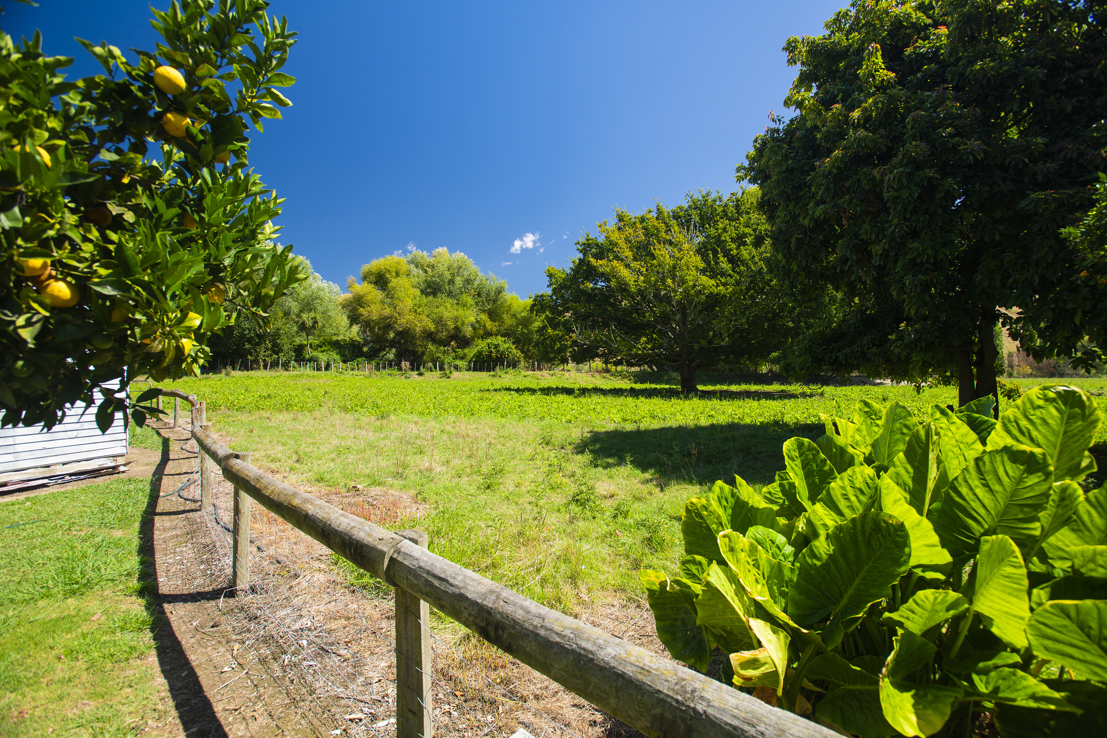 638 Waingake Road, Muriwai, Gisborne, 3 Kuwarto, 0 Banyo