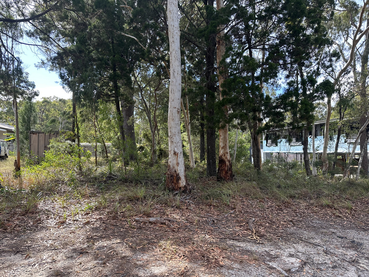 17 MORWONG ST, MACLEAY ISLAND QLD 4184, 0部屋, 0バスルーム, Section