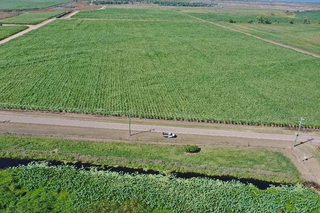 Alva  74 Acre Cane Farm - Open & Bore Water - Alva