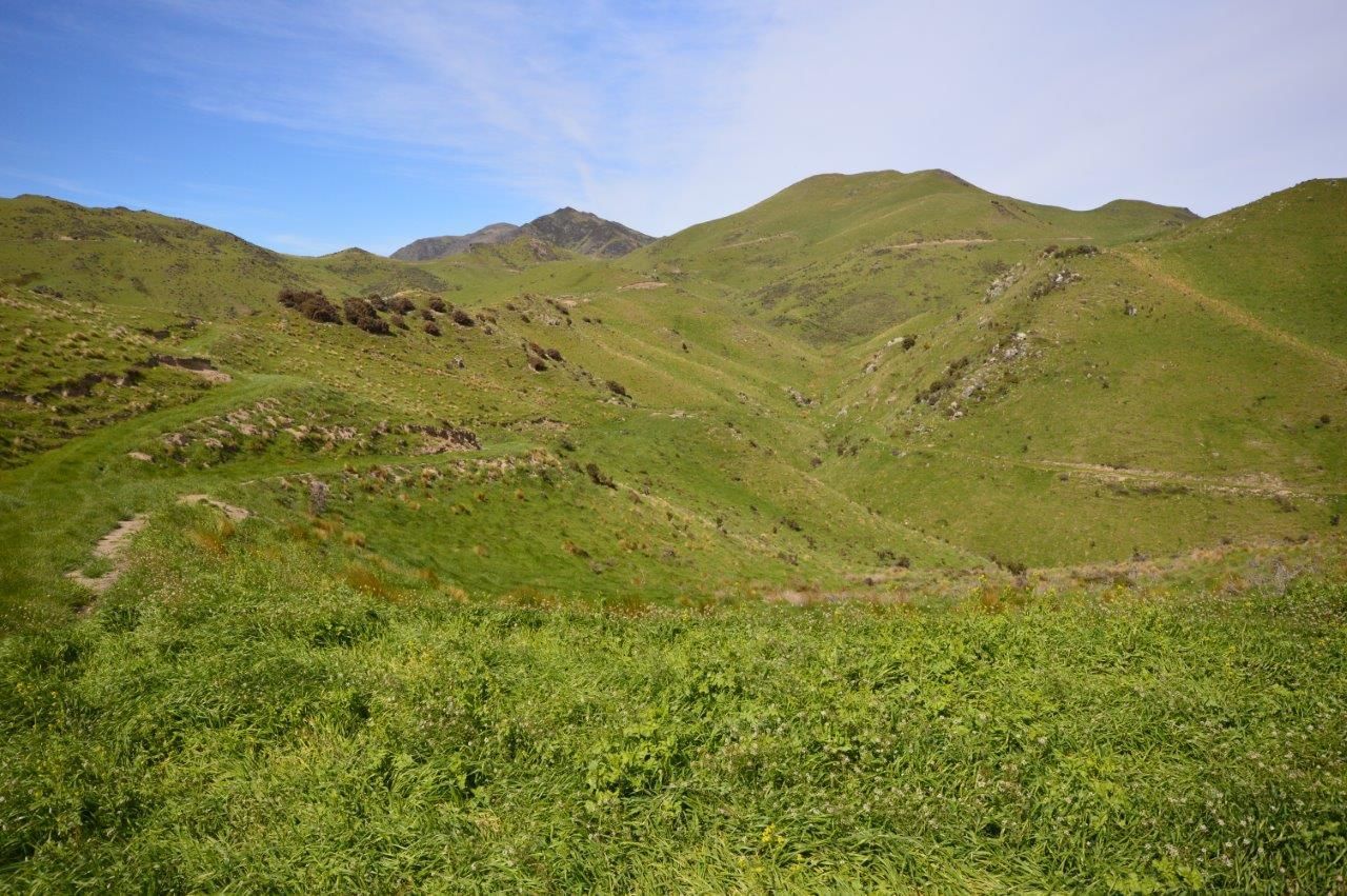 69p Inches Road, Hawarden, Hurunui, 0房, 0浴