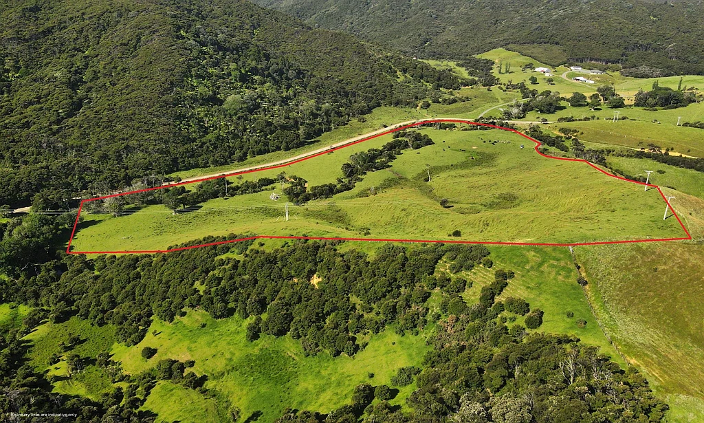 Waikawau Land with options