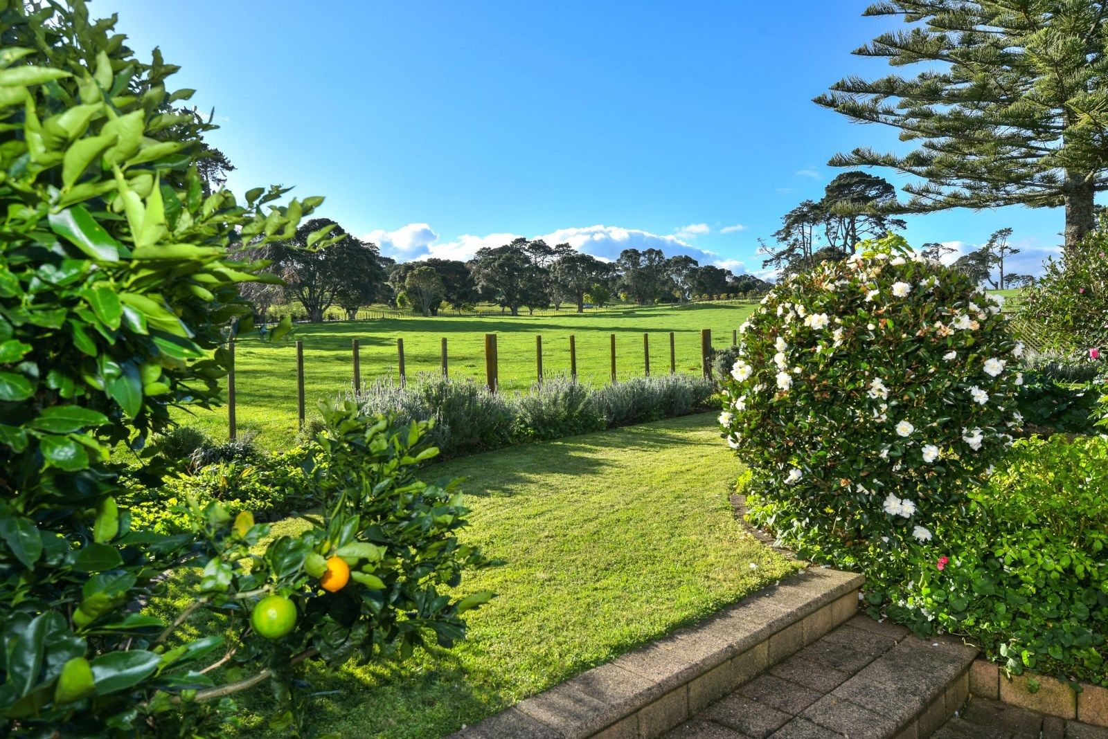 60a Campbell Road, One Tree Hill, Auckland, 5 غرف, 1 حمامات