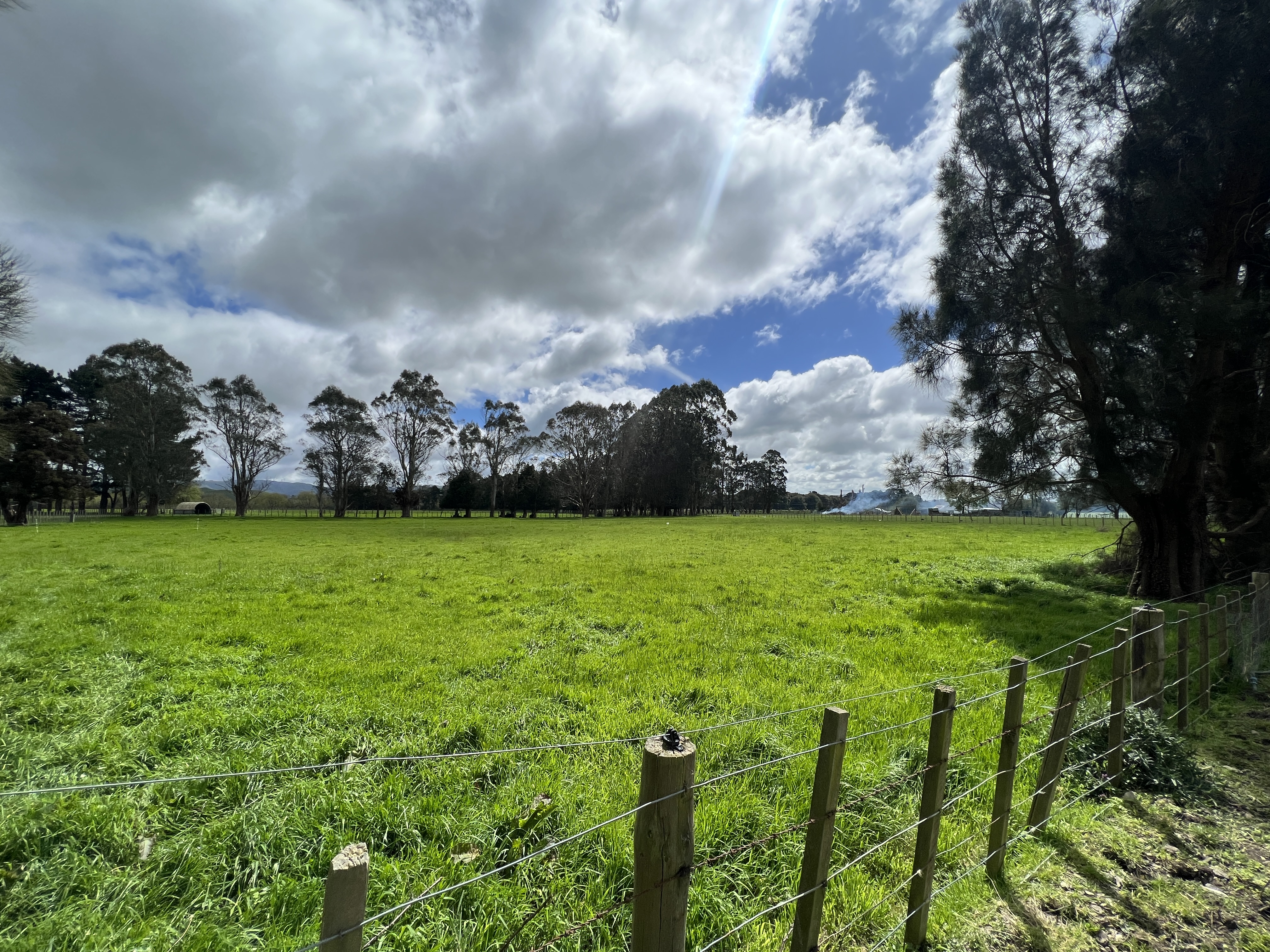 Tutaekara Road, Pahiatua, Tararua, 0 غرف, 1 حمامات, Lifestyle Section