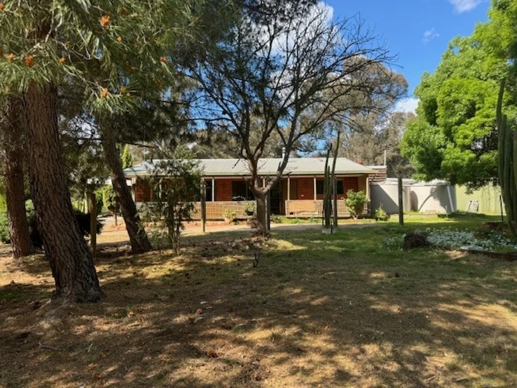 Wedderburn  Cedar House on 5.66 Acres - Perfect Location!