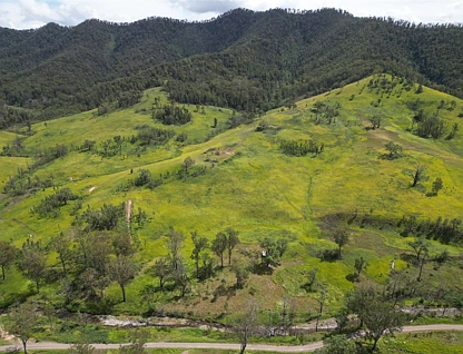 Lot 54 Mackenzies Creek Road, Bellbrook, North Coast, 0 침실, 0 욕실, Lifestyle Property