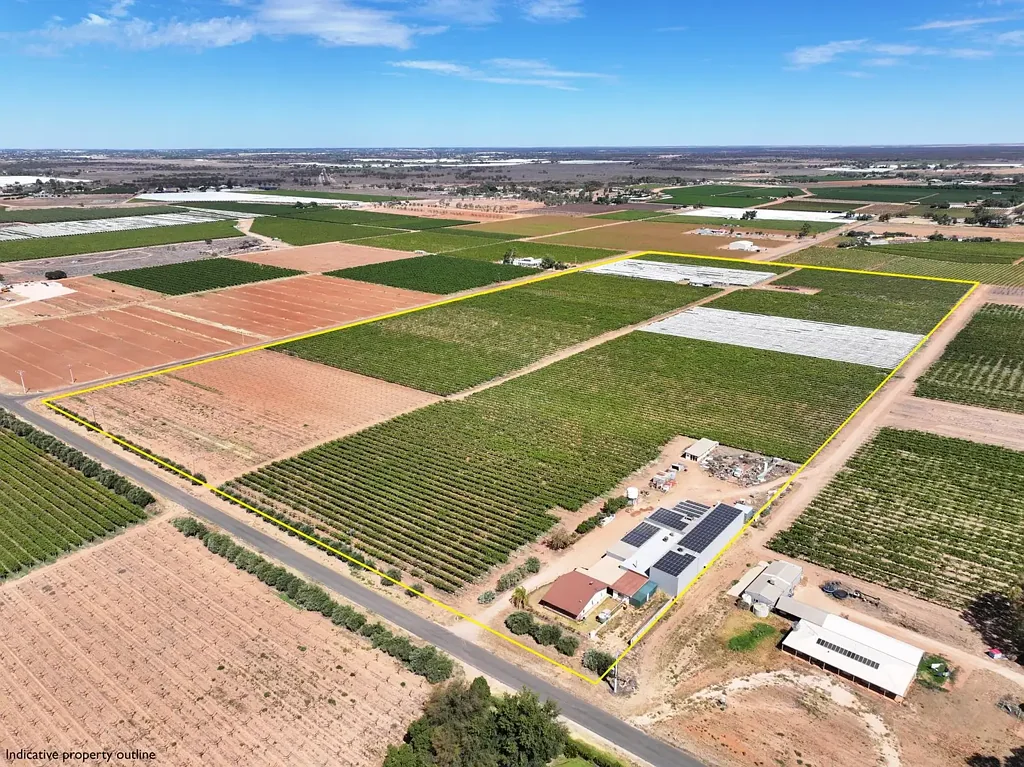 Merbein South  QUALITY TABLE GRAPE PROPERTY ON 2 TITLES