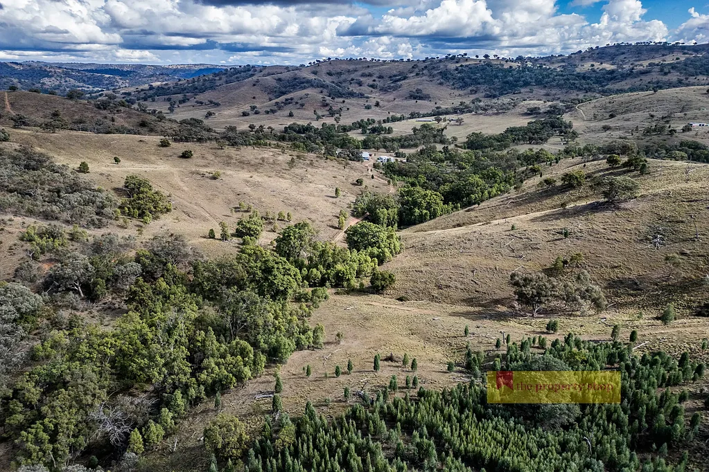 Mudgee  PERFECT LIFESTYLE LIVING