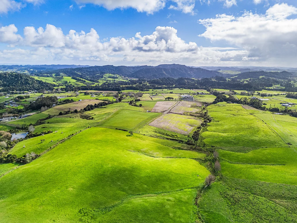 Waitoki Landmark Development Opportunity