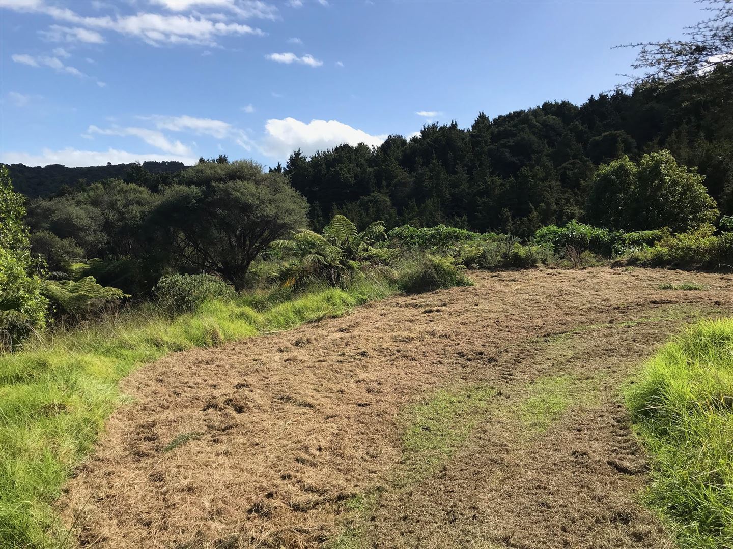 Hauraki Gulf Islands