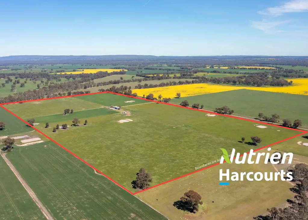 Boorhaman East  Farming opportunity in Boorhaman East