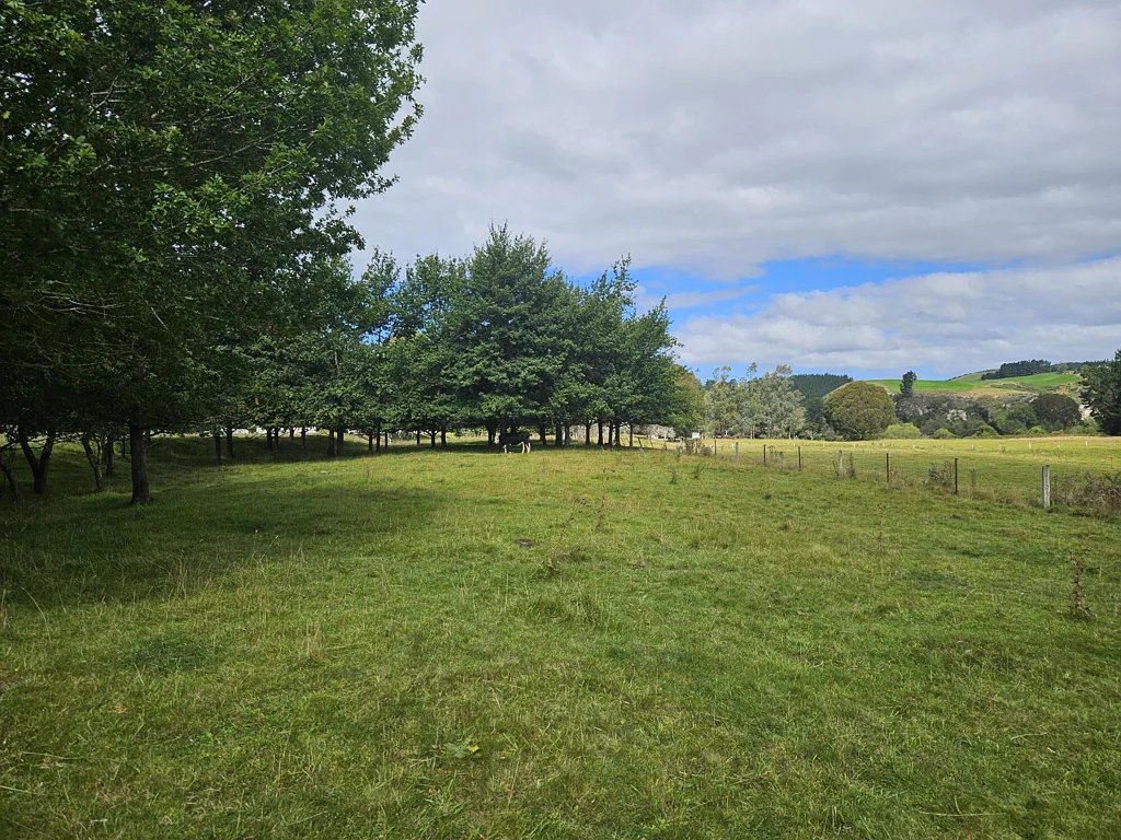 Herbert Herbert Forest bare land block
