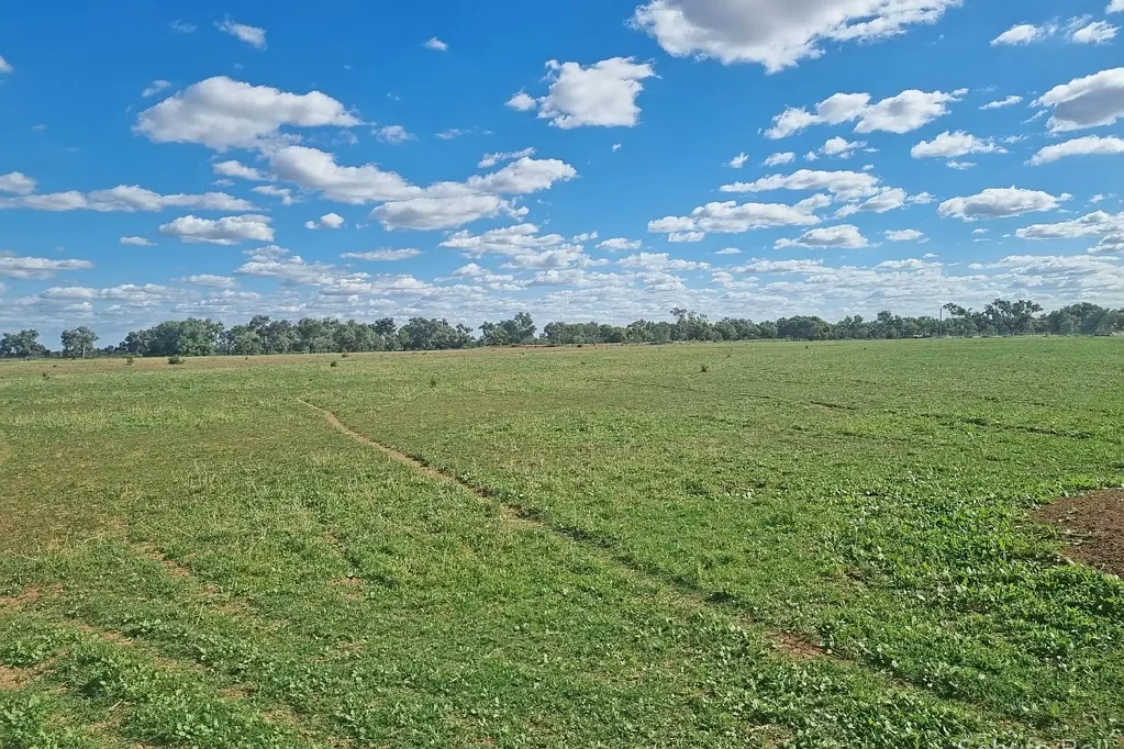 Brewarrina A rare opportunity to own a piece of paradise on the iconic Barwon River