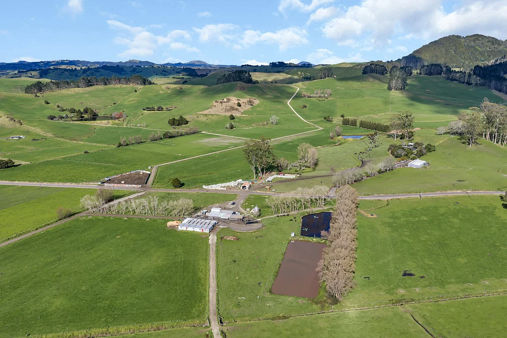Ruatangata Great Farm in Strong Dairy Area