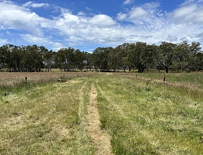 Lot/4 Sullivans Rd, Dartmoor, Portland and Glenelg Shire, 0房, 0浴, Lifestyle Property
