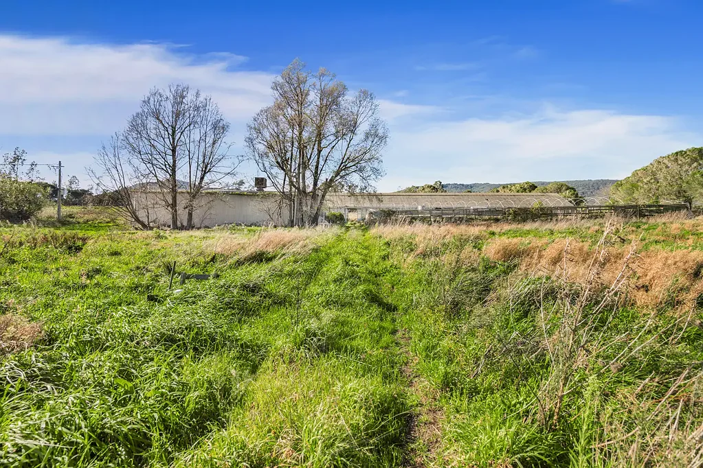 Badger Creek 4ห้องนอน Broad Acres, Big Ambitions