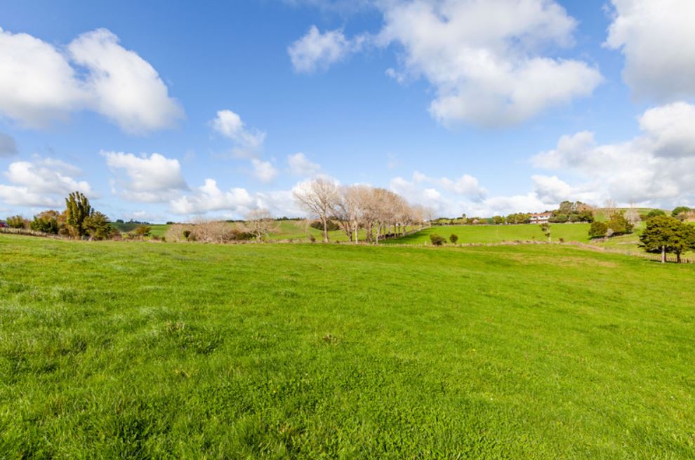 Pool Road, Whangaripo, Auckland - Rodney, 0 Schlafzimmer, 0 Badezimmer, Lifestyle Property