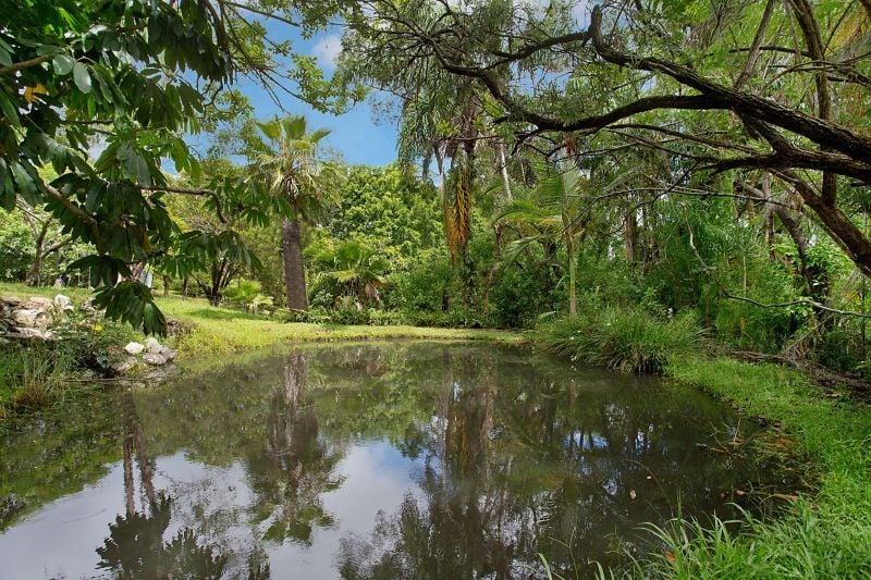 66 BONOGIN RD, MUDGEERABA QLD 4213, 0 rūma, 0 rūma horoi, House