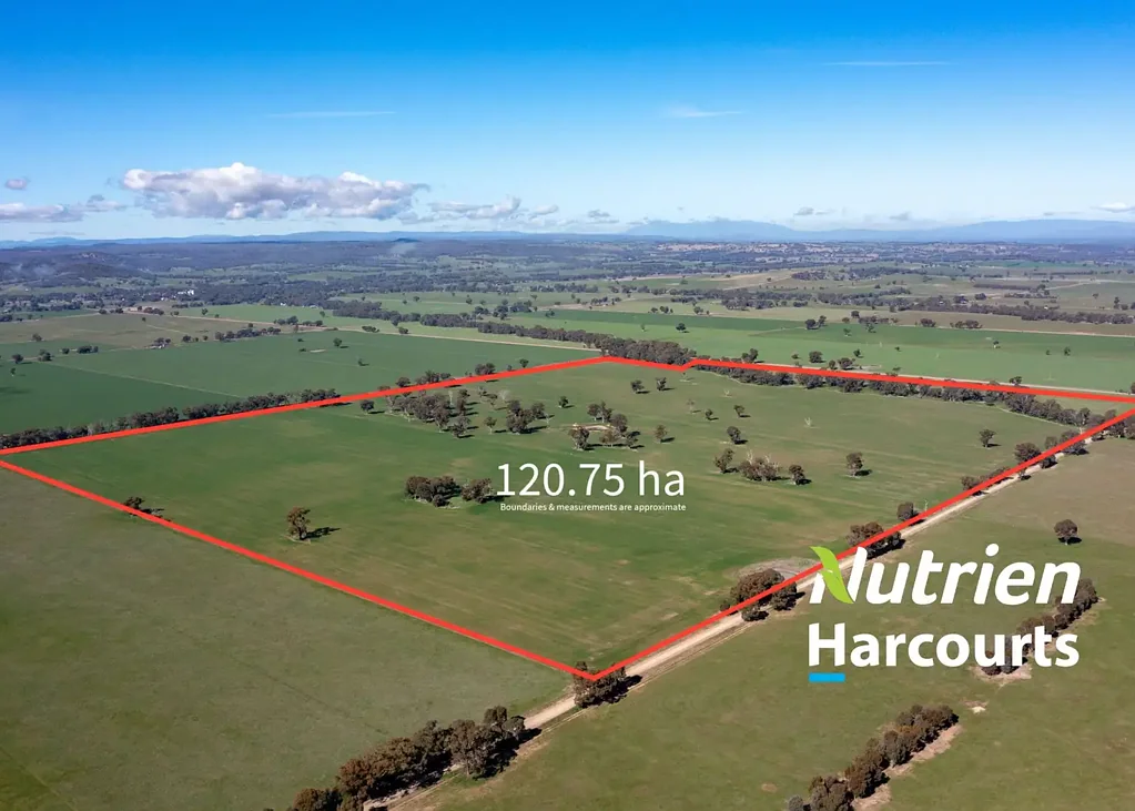 Springhurst  120.75 Hectares - "Sandys" - 300 Acres