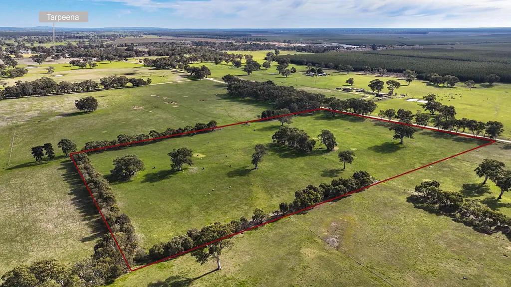 Section 115 Chuck Road, Tarpeena, SA 5277