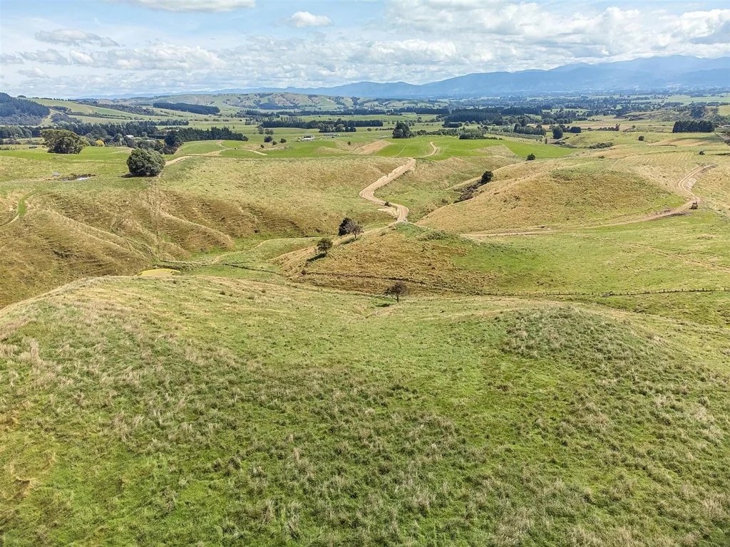 Gladstone Wairarapa Lifestyle Property For All