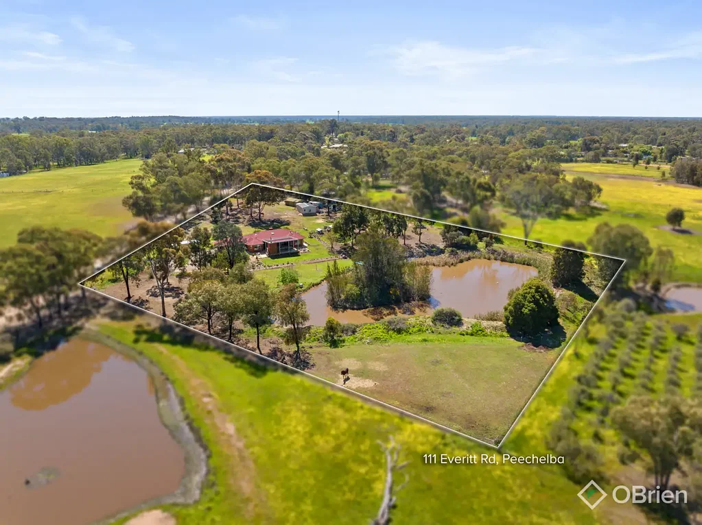 111 Everitt Road, Peechelba, VIC 3678