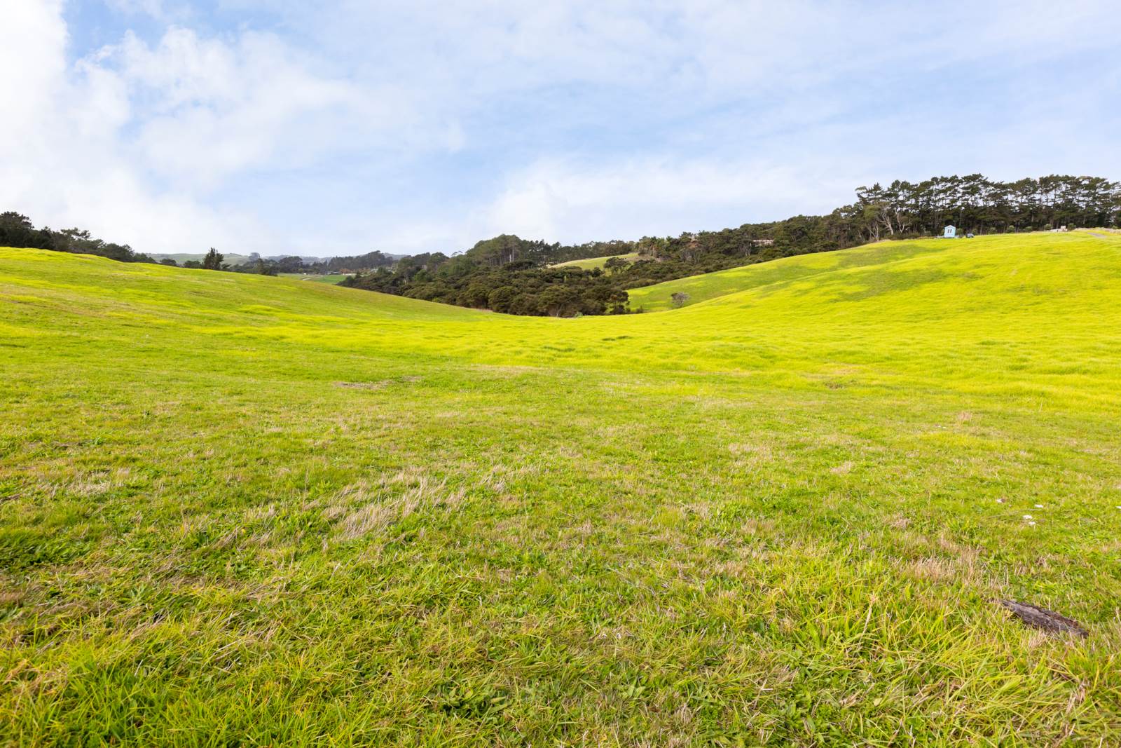 199 Mcpike Road, Waimauku, Auckland - Rodney, 5房, 0浴