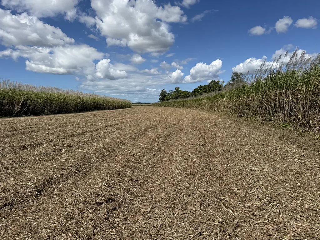 Euramo Large mixed mostly a Cane Farm & Cattle property near Tully including Sheds, balance of 2026 Cane Crop, Machinery and Equipment